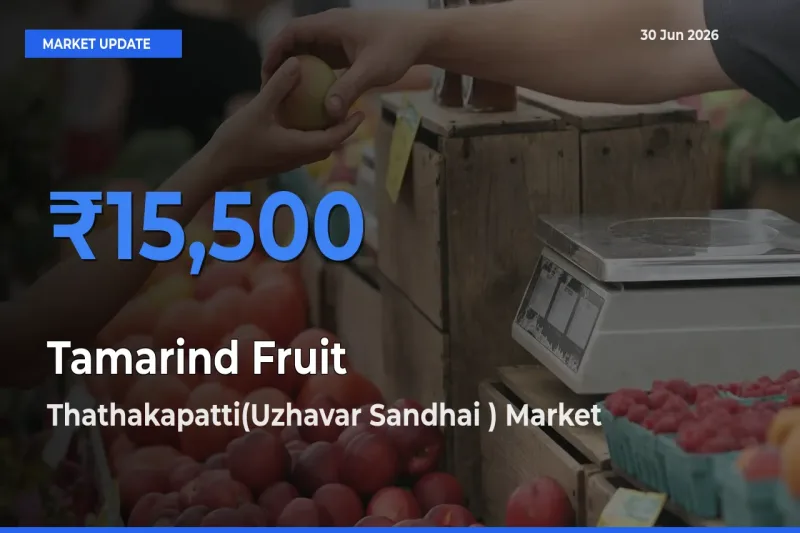 Market Watch: Thathakapatti(Uzhavar Sandhai ) Becomes Top Mandi for Tamarind Fruit