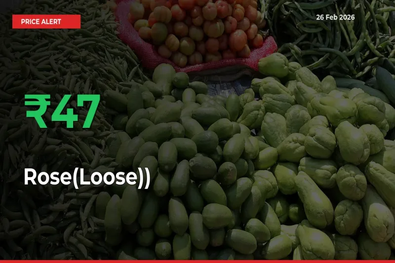 Big Rally! Rose(Loose)) Climbs 47.06% in 24 Hours at Top Mandis
