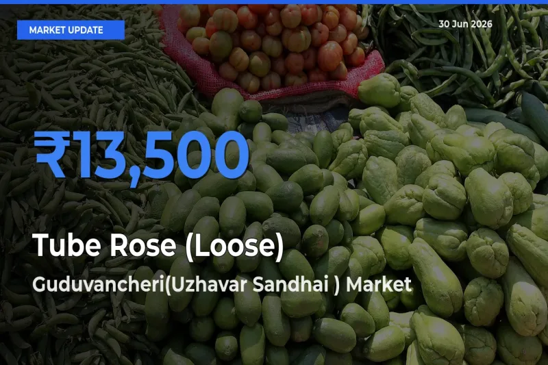 Guduvancheri(Uzhavar Sandhai ) Tops Tube Rose (Loose) Mandi Rates Today