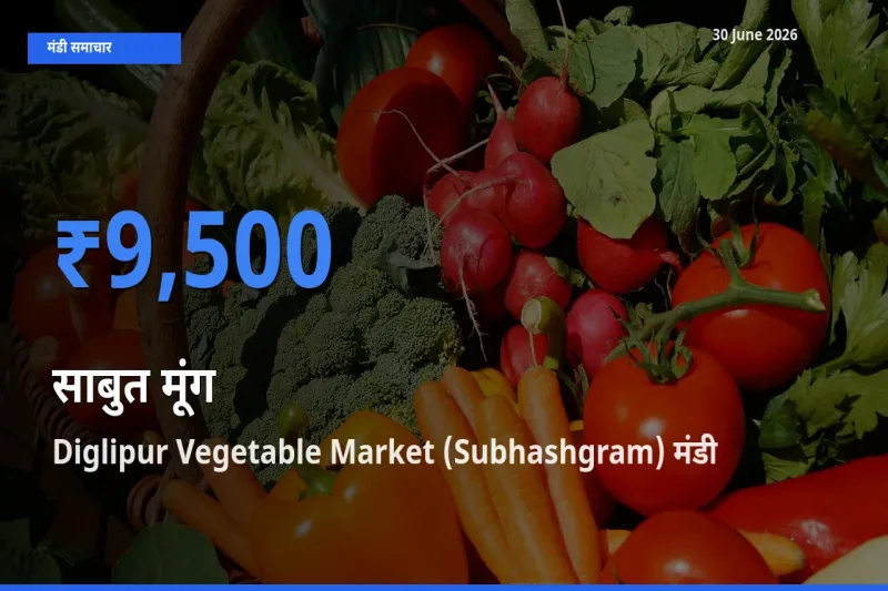 Diglipur Vegetable Market (Subhashgram) मंडी में आज साबुत मूंग के सबसे ऊँचे दाम दर्ज