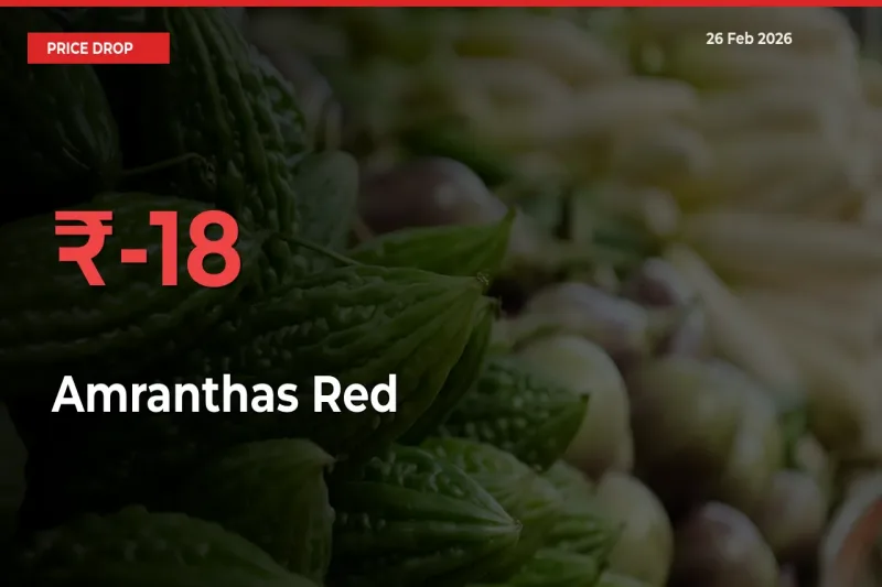 Amranthas Red Falls 17.82% at Mandis