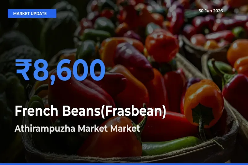 Athirampuzha Market Leads as Top Mandi for French Beans(Frasbean) Prices