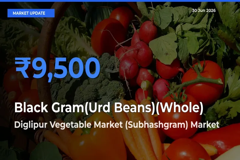 Diglipur Vegetable Market (Subhashgram) Tops Black Gram(Urd Beans)(Whole) Mandi Rates Today
