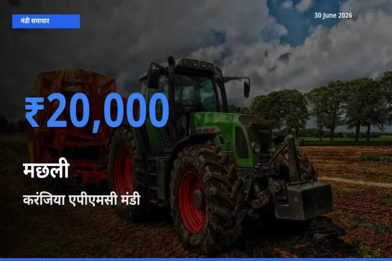 टॉप मंडी बना करंजिया एपीएमसी! मछली के सबसे ऊँचे दाम यहीं दर्ज