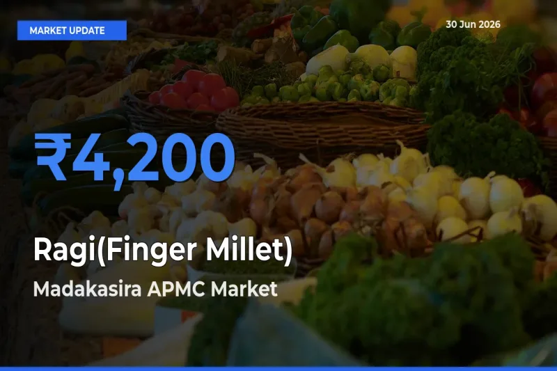 Madakasira APMC Emerges as Top Mandi for Ragi(Finger Millet) Prices Today