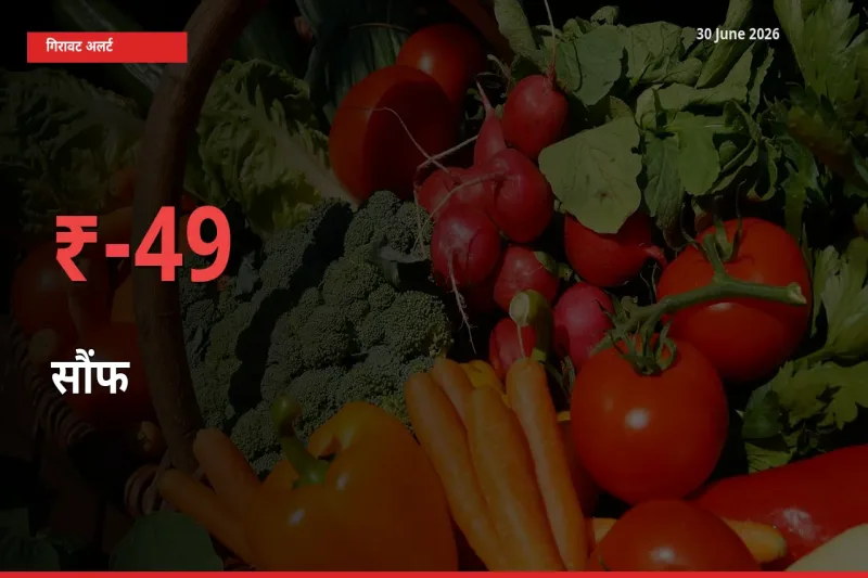 अचानक झटका! मंडी में सौंफ के दाम 49.27% टूटे