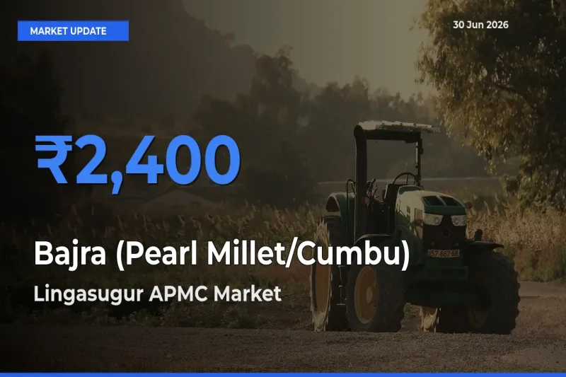 Bajra (Pearl Millet/Cumbu) Mandi Rate Today: Lingasugur APMC Tops the List
