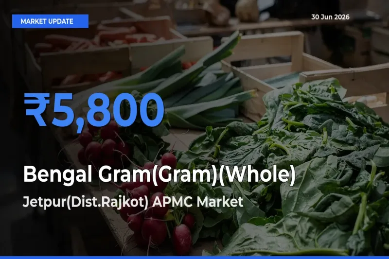 Farmers Prefer Jetpur(Dist.Rajkot) APMC as Bengal Gram(Gram)(Whole) Hits Highest Rate