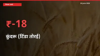 आज का मंडी भाव: कुंदरू (टिंडा तोरई) के दाम मंडी में 17.62% नीचे