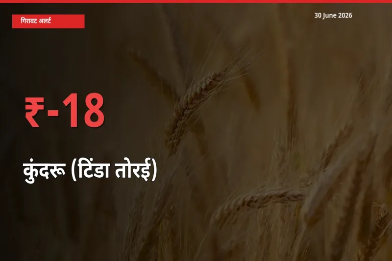 आज का मंडी भाव: कुंदरू (टिंडा तोरई) के दाम मंडी में 17.62% नीचे