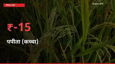 स्थानीय मंडी में पपीता (कच्चा) के दाम अचानक 15.12% गिरे, किसानों की चिंता बढ़ी
