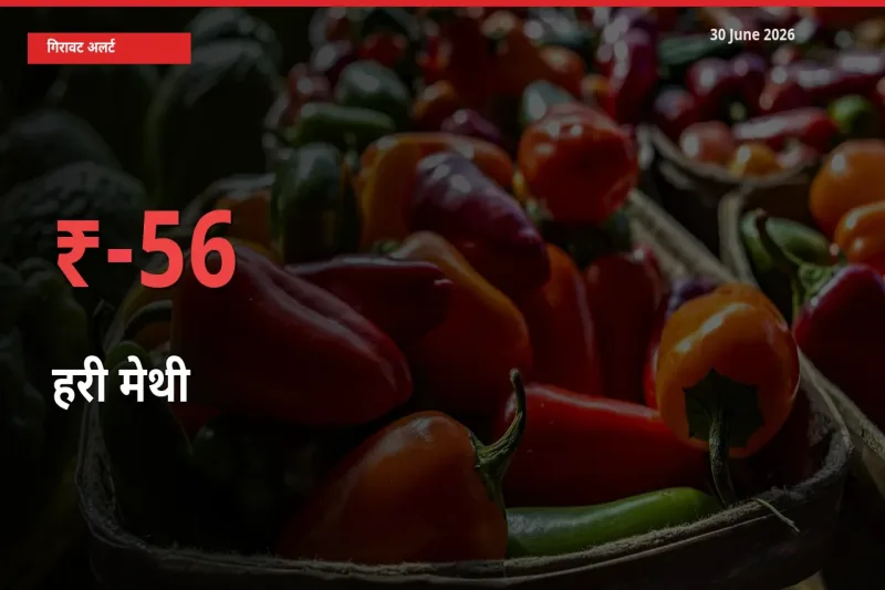 अचानक झटका! मंडी में हरी मेथी के दाम 55.91% टूटे