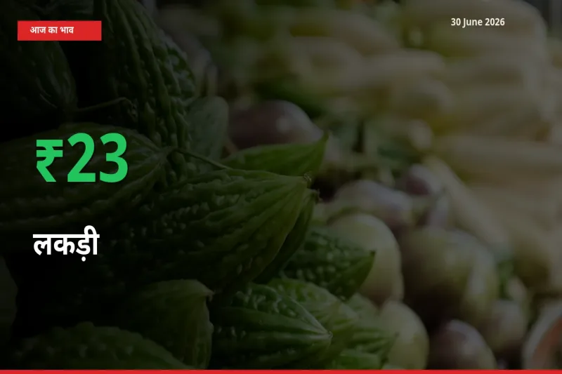 लकड़ी के दाम प्रमुख मंडी में 23.12% बढ़े, 24 घंटे में बड़ा बदलाव