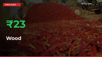 Wood Mandi Rate Today: Prices Jump 23.12% at Market