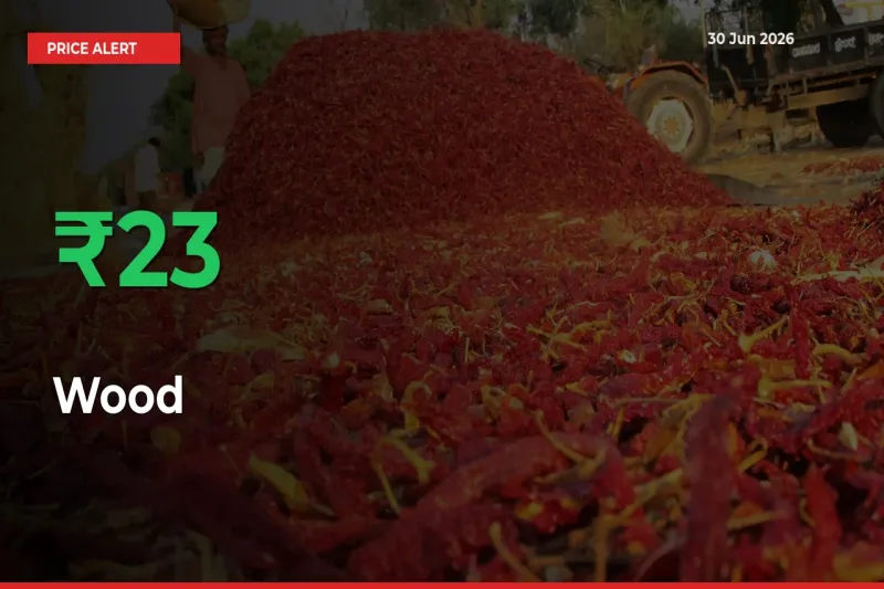 Wood Mandi Rate Today: Prices Jump 23.12% at Market