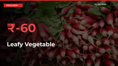 Why Leafy Vegetable Prices Fell 60.36% in a Day at Mandis