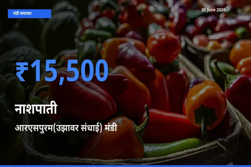 बाज़ार संकेत: आरएसपुरम(उझावर संधाई) बना नाशपाती के लिए आज की टॉप मंडी