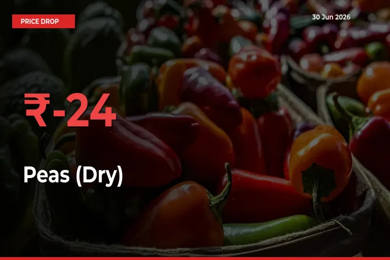 Peas (Dry) Falls 24.21% at Mandis