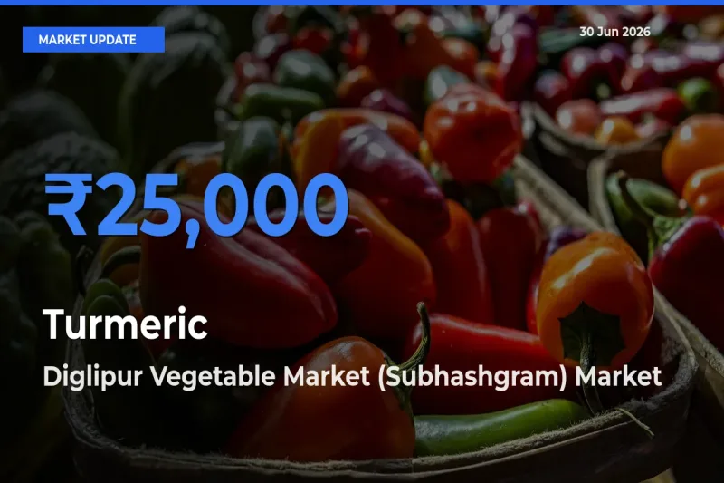 Market Watch: Diglipur Vegetable Market (Subhashgram) Becomes Top Mandi for Turmeric