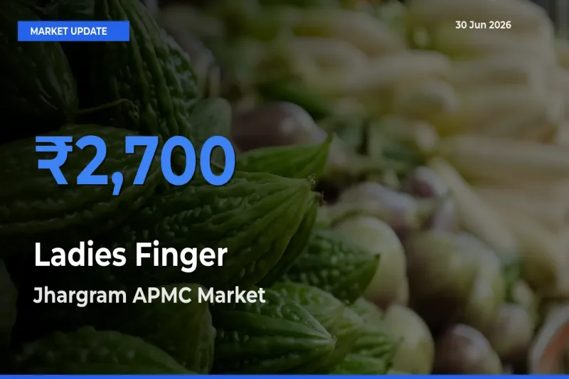 Jhargram APMC Tops Ladies Finger Rates – June 30 Market Update