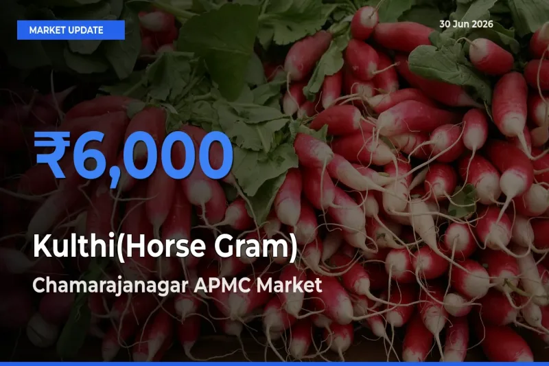 Chamarajanagar APMC Emerges as Top Mandi for Kulthi(Horse Gram) Prices Today