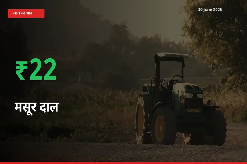 अचानक तेजी! मंडी में मसूर दाल के दाम 22.25% चढ़े