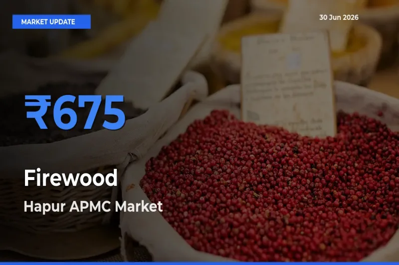 Hapur APMC Leads as Top Mandi for Firewood Prices
