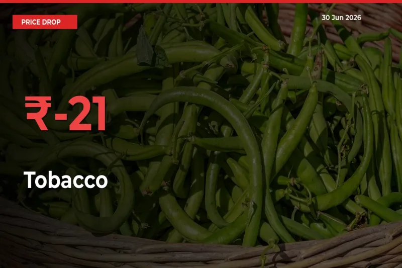 Tobacco Falls 21.02% at Mandis