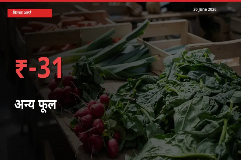 आज का मंडी भाव: अन्य फूल के दाम मंडी में 30.91% नीचे