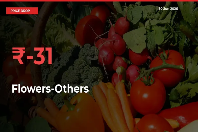 Sharp Fall! Flowers-Others Prices Plunge 30.91% in a Day at Key Mandis
