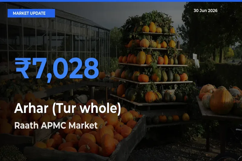 Raath APMC Emerges as Top Mandi for Arhar (Tur whole) Prices Today