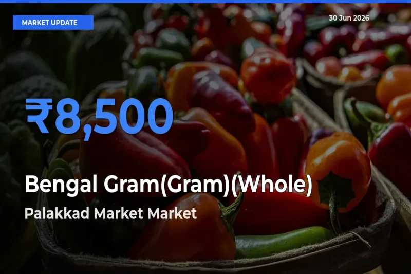 Top Performer! Palakkad Market Offers Best Bengal Gram(Gram)(Whole) Price Today