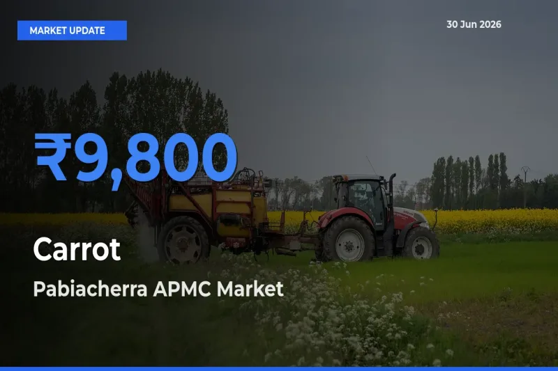 Pabiacherra APMC Records Highest ₹9,800 Rate for Carrot