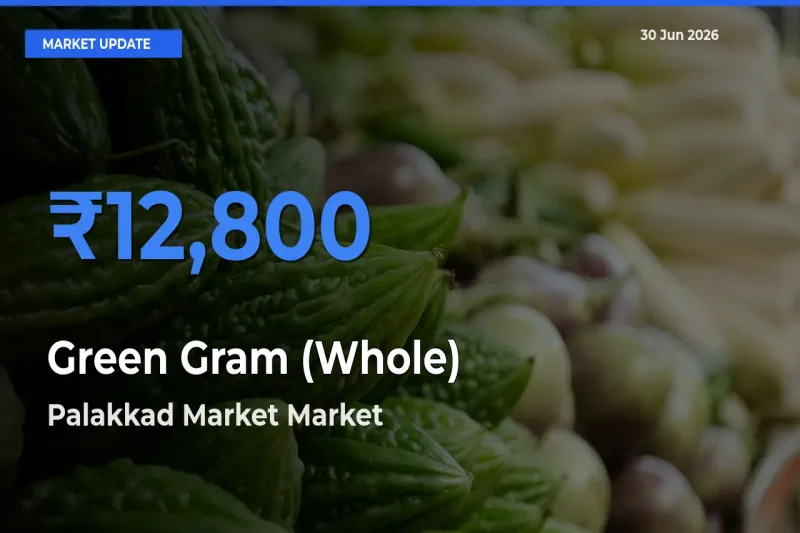 Palakkad Market Offers ₹12,800 – Highest Green Gram (Whole) Rate Today