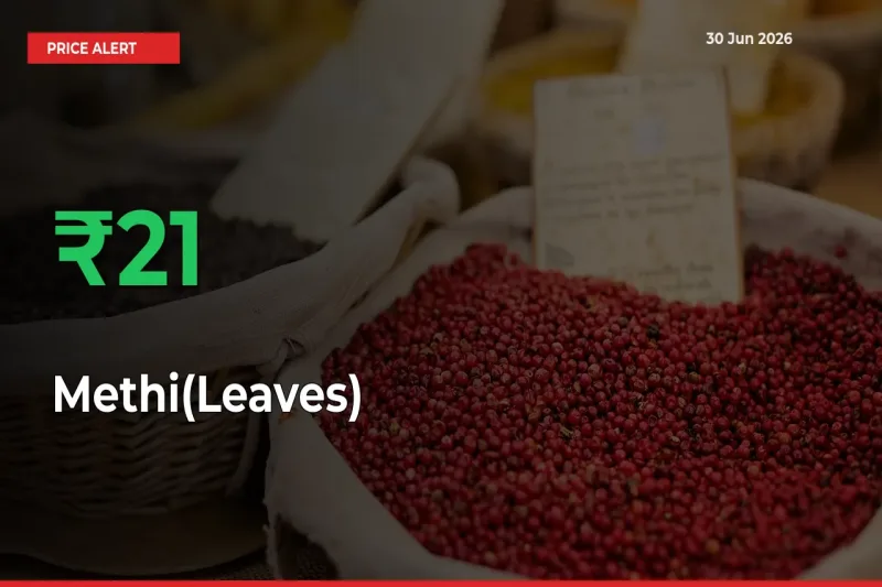 Sudden 20.57% Rally in Methi(Leaves) Prices Across Mandis