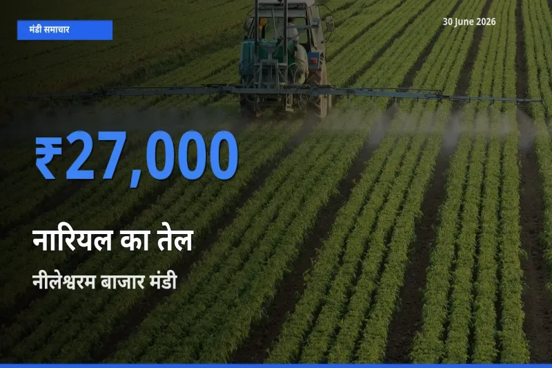 किसानों की पसंद बना नीलेश्वरम बाजार, नारियल का तेल के सबसे अच्छे दाम