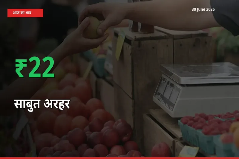 साबुत अरहर के दाम प्रमुख मंडी में 21.57% बढ़े, 24 घंटे में बड़ा बदलाव