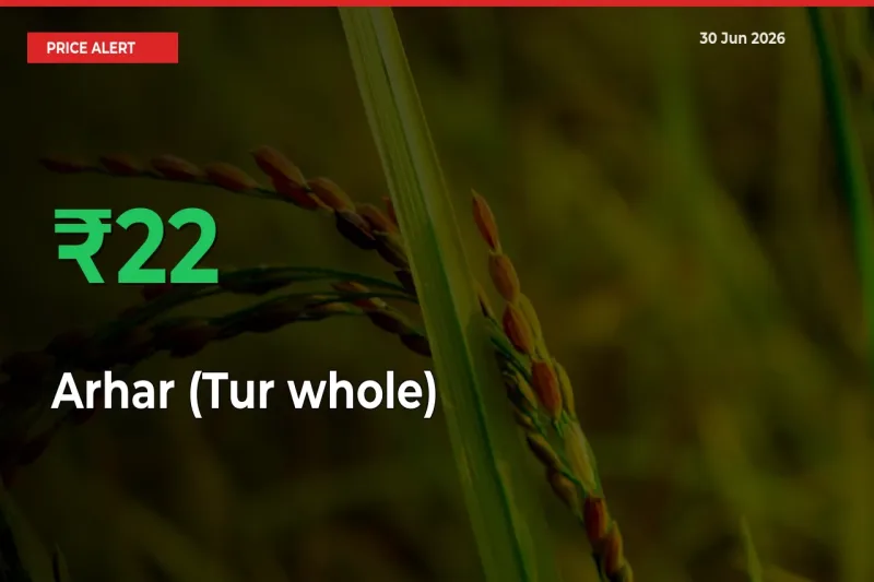 21.57% Spike in Arhar (Tur whole) Prices – Mandi Sees Sudden Rally