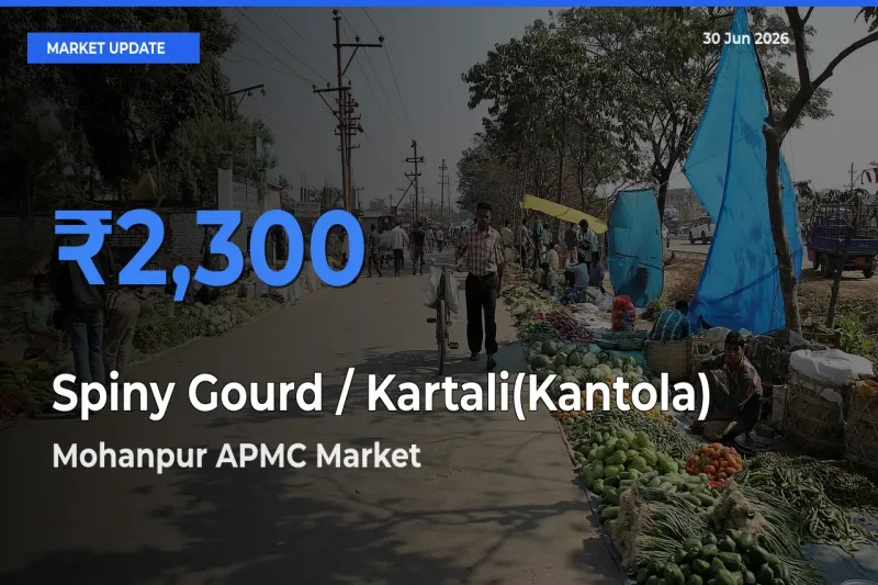 Mohanpur APMC Tops Spiny Gourd / Kartali(Kantola)
 Mandi Rates Today
