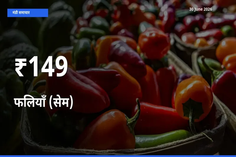 कई मंडियों में फलियाँ (सेम) के भाव एक दिशा में, बाज़ार का रुख साफ