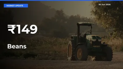 Beans Trend Strengthens Across Major Mandis