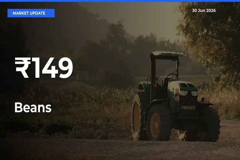 Beans Trend Strengthens Across Major Mandis