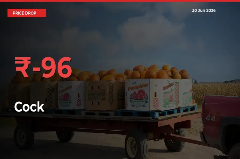 Cock Mandi Rate Today: Prices Fall 95.89% at Market