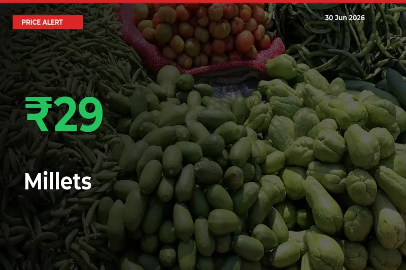 Millets Prices Rise 28.89% in a Day at Major Mandis