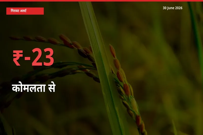 कोमलता से 23.46% गिरा, मंडी
