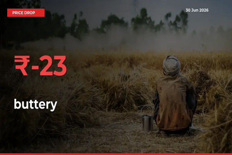 buttery Falls 23.46% at Mandis