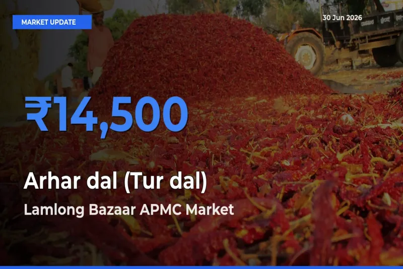 Lamlong Bazaar APMC Emerges as Top Mandi for Arhar dal (Tur dal) Prices Today