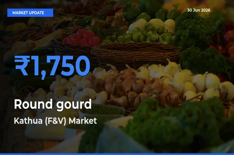 Market Watch: Kathua (F&V) Becomes Top Mandi for Round gourd