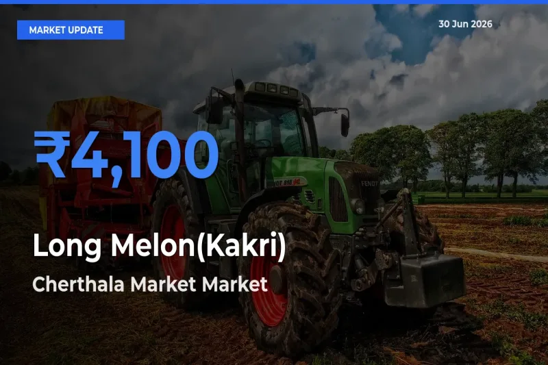 Long Melon(Kakri) Mandi Rate Today: Cherthala Market Tops the List