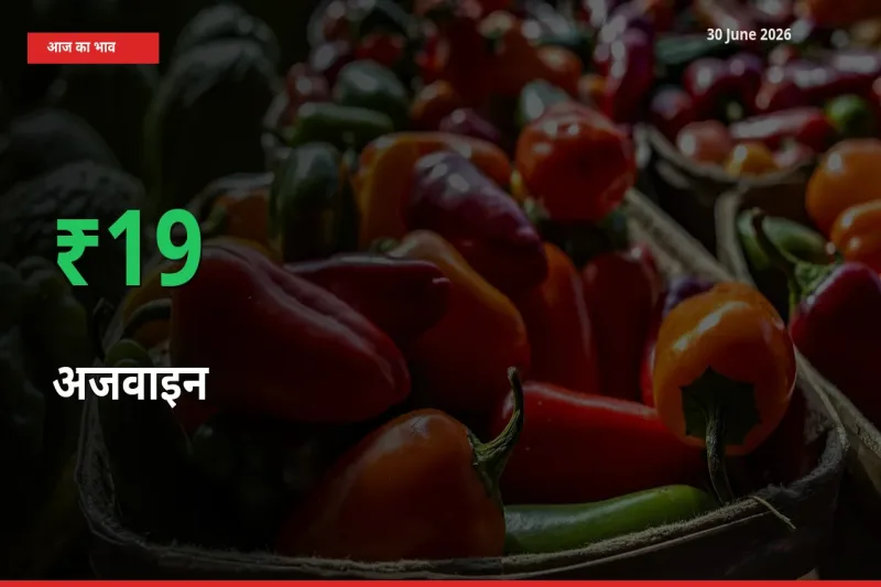 30 June अपडेट: अजवाइन के दाम मंडी में 19.48% उछले